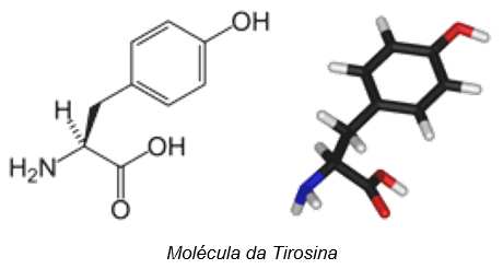 7eaf3af79ef906fbedce02b047e3ac81
