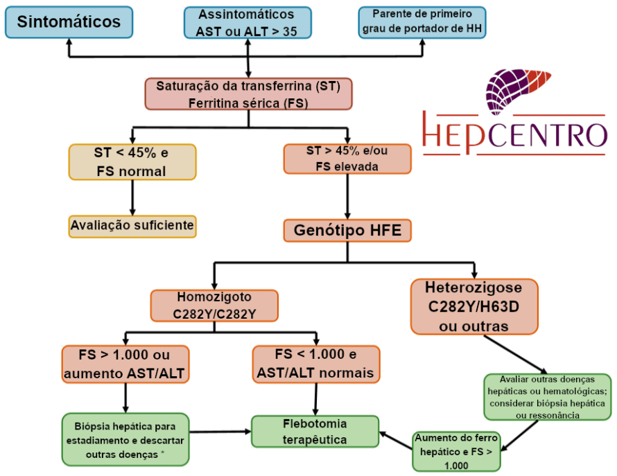 hemocromatose algoritmo