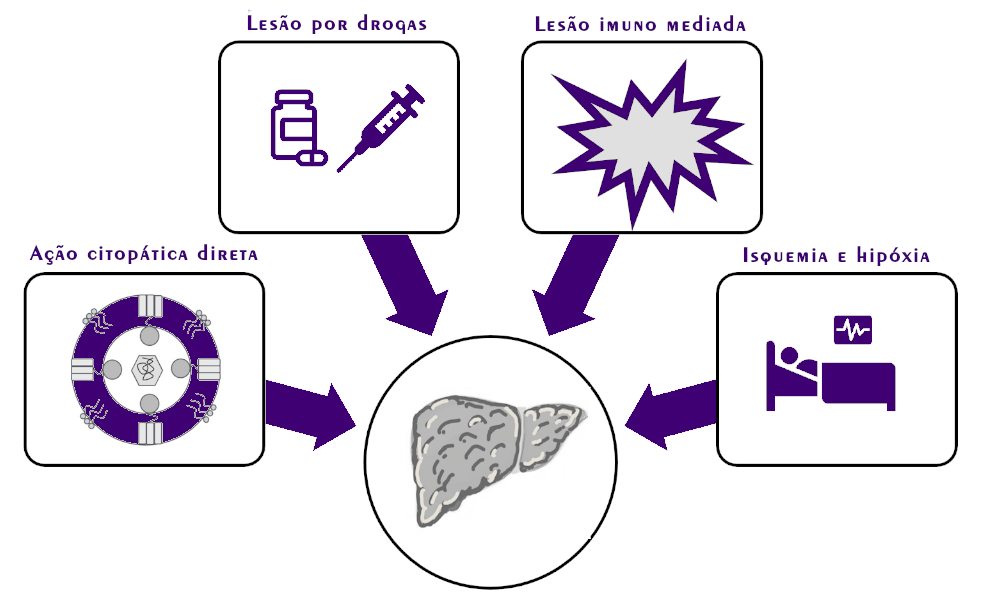 Hepatite pela Dengue – Hepcentro