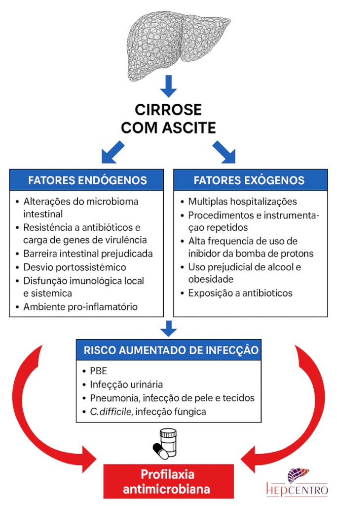 Fisiopatogenia da PBE. Adaptado de Markley, 2025